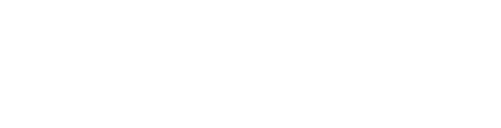 Minerva Partners